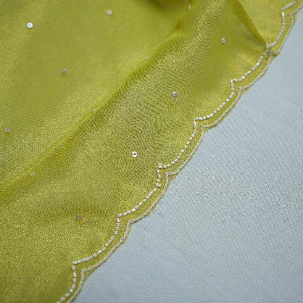 Rajvani Premium Tissue Embroidered 3-Piece Unstitched Suit Set with Tissue Dupatta – Lime Green